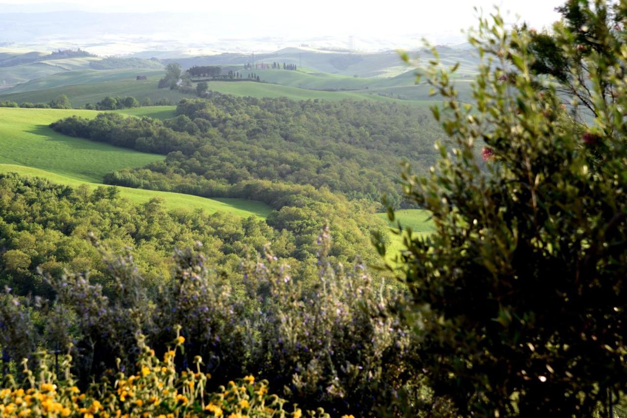 Villa Ginevra-Villa Indipendente-Crete Senesi-Tuscany Siena Dış mekan fotoğraf